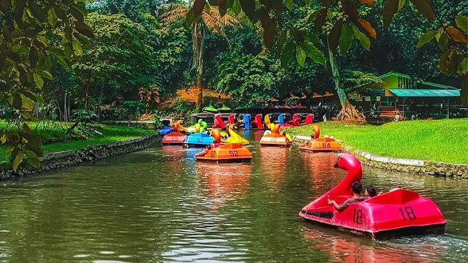 perahu angsa