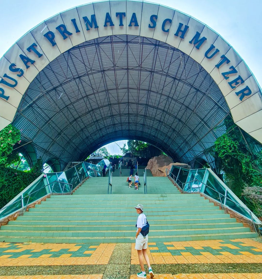 pusat primata schmutzer Ragunan Zoo