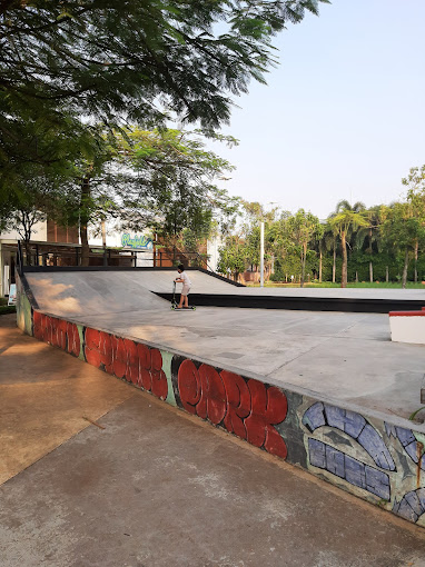 skater park Scientia Square Park