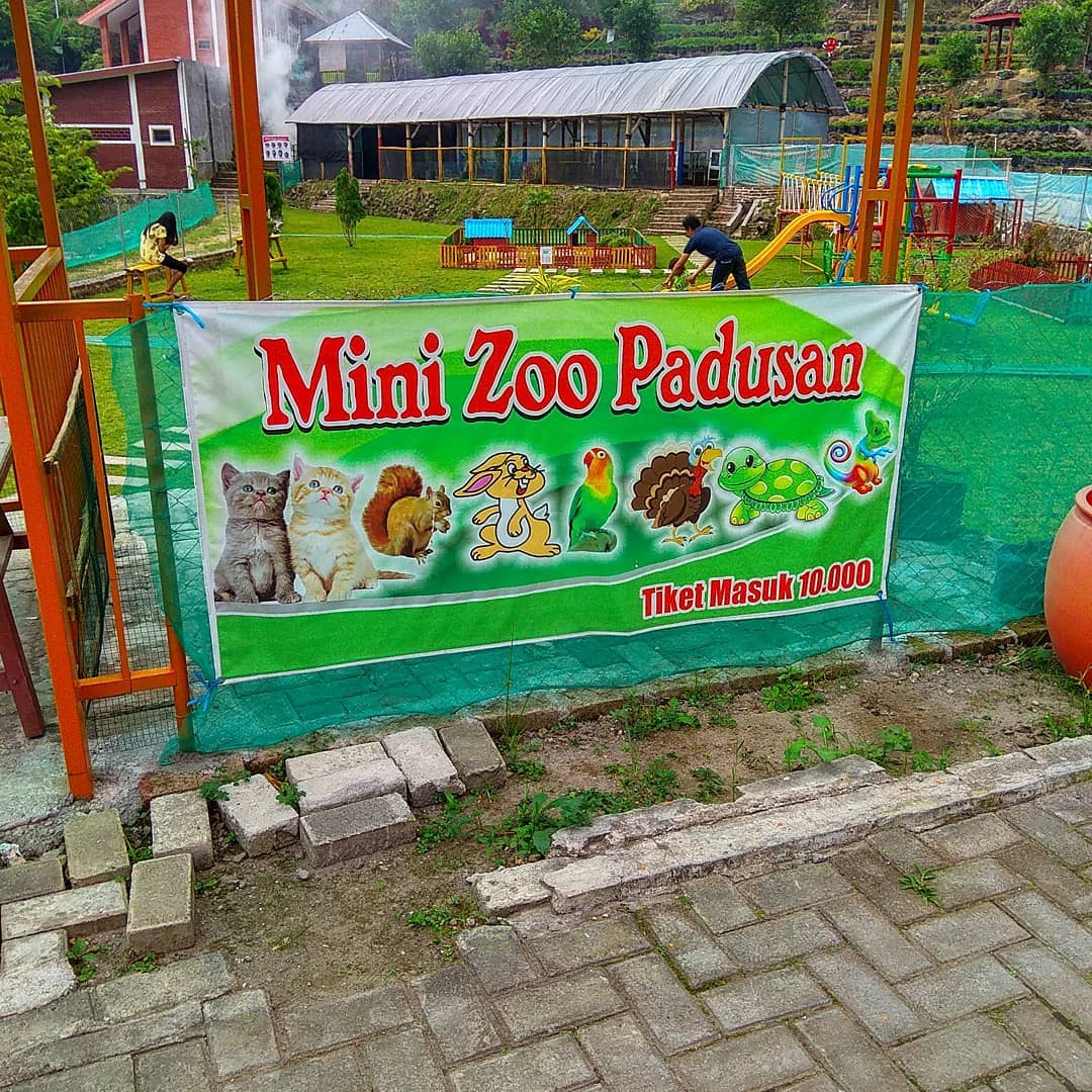mini zoo padusan