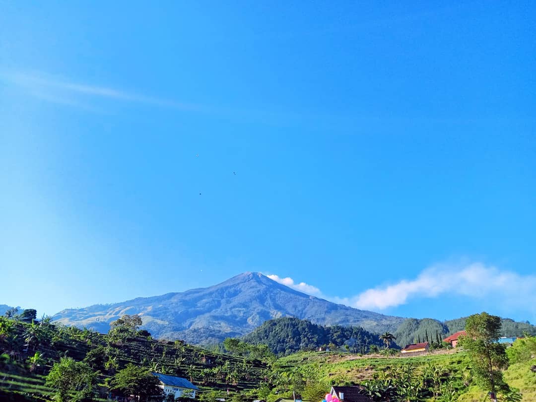 taman kelinci padusan